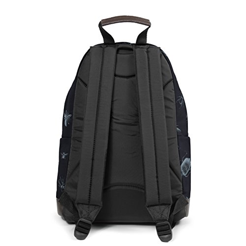 eastpak-kinder-rucksack-40-cm-schulrucksack-daypack image 8