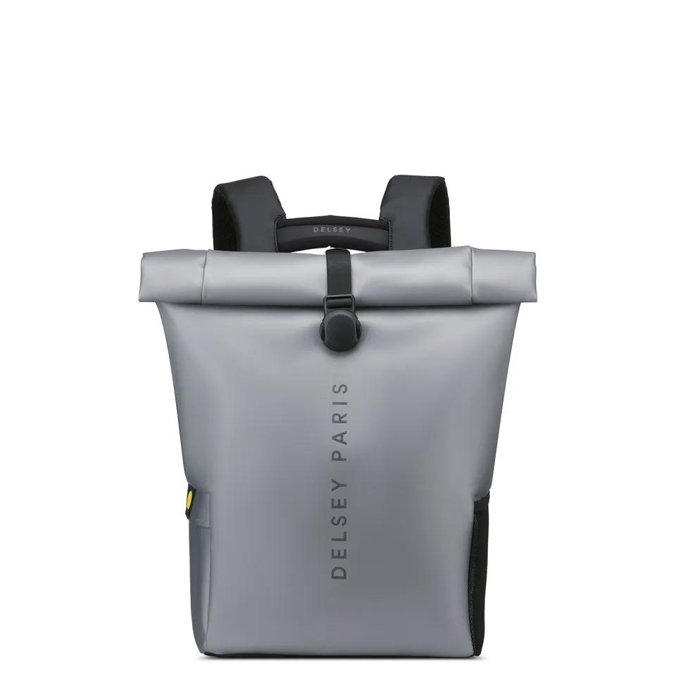 delsey-maubert-2-0-turenne-soft-rucksack-25l-silber-laptop image 1